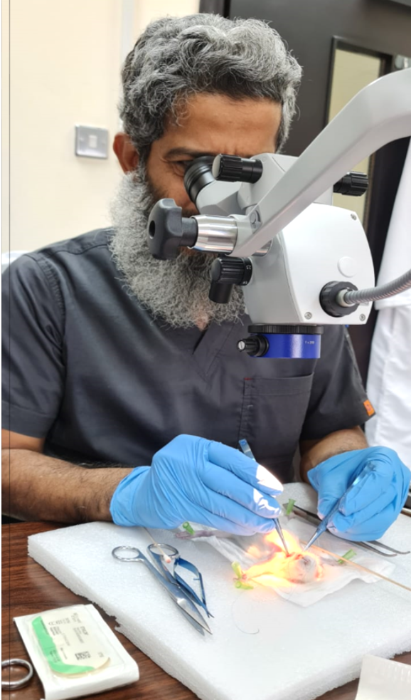 ضمادة جروح متطورة من جامعة نزوى