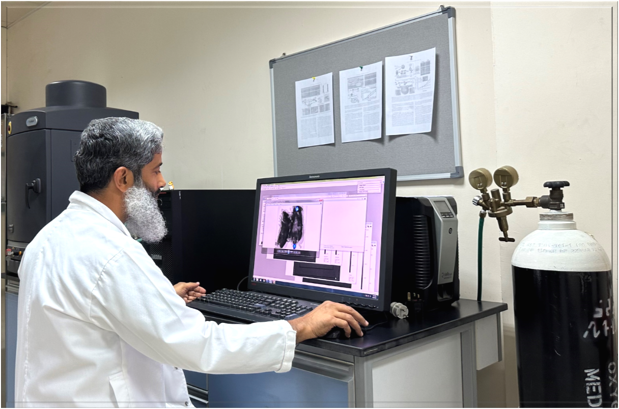 ضمادة جروح متطورة من جامعة نزوى
