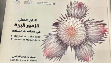 الزهور البرية في مسندم