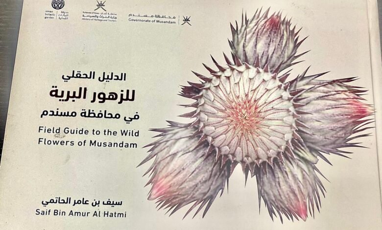 الزهور البرية في مسندم