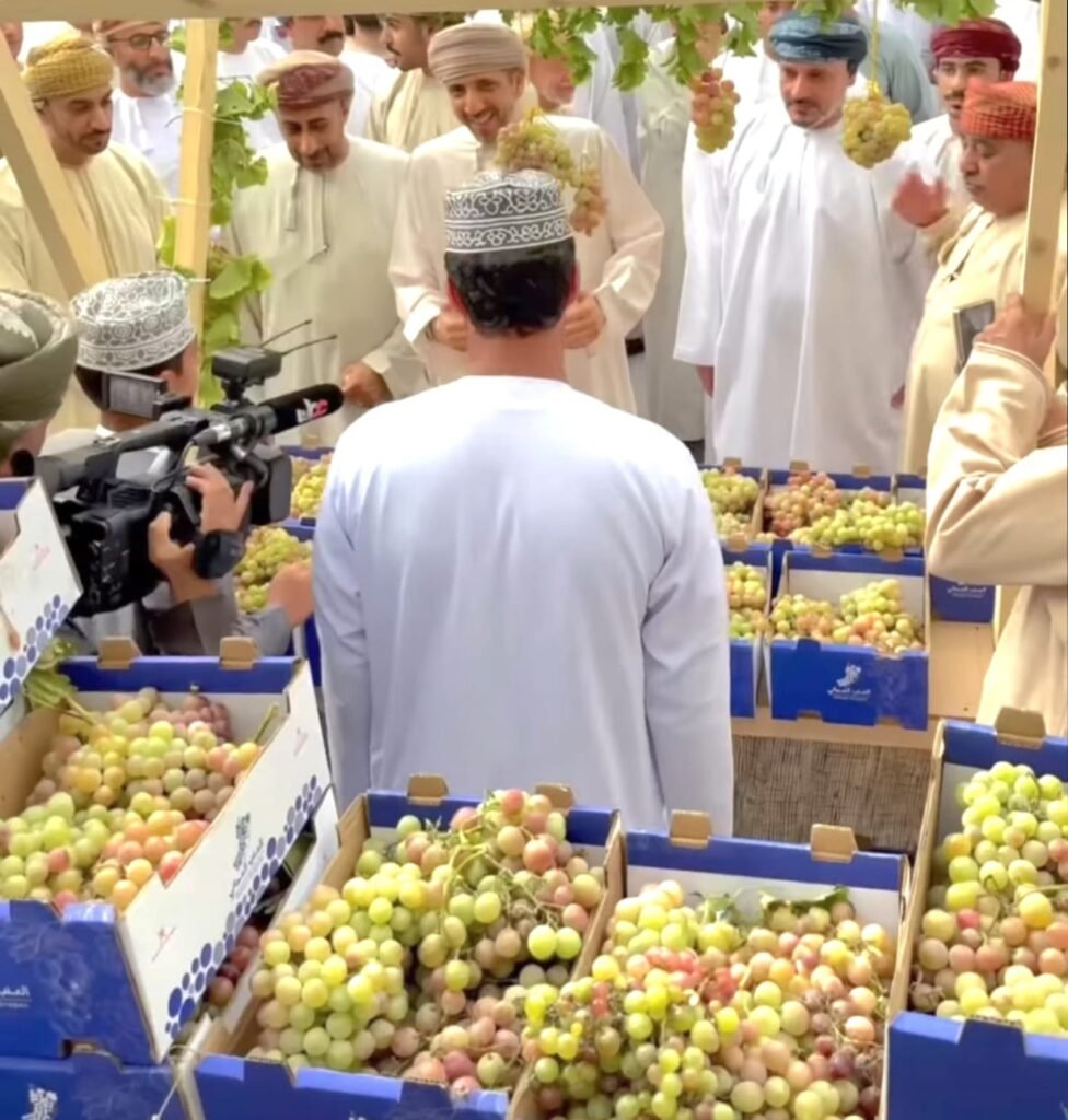 معالي وزير التراث والسياحة يرعى انطلاق فعاليات مهرجان العنب في ولاية العوابي بمحافظة جنوب الباطنة