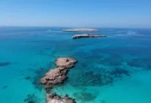 محمية جزر الديمانيات الطبيعية