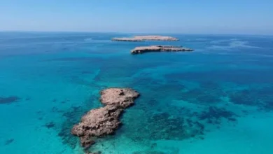 محمية جزر الديمانيات الطبيعية