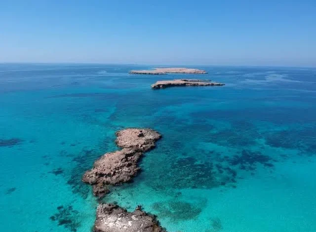 محمية جزر الديمانيات الطبيعية